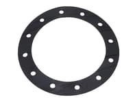 Fuel Pump Accessories