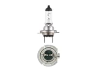 Headlight Bulbs