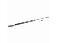 Gas Struts