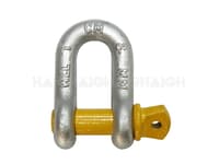 Bow &amp; D Shackles