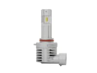 Headlight Bulbs
