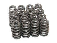 Valves &amp; Valve Springs