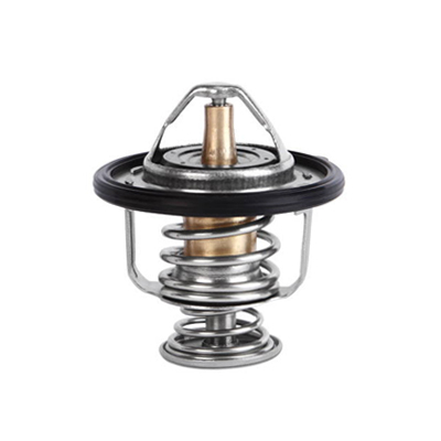 Thermostat Parts
