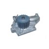 Tru-Flow TF1053 Water Pump