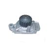 Tru-Flow TF1130 Water Pump