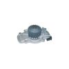 Tru-Flow TF3016 Water Pump
