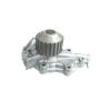 Tru-Flow TF8113 Water Pump