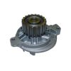Tru-Flow TF8134 Water Pump