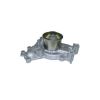 Tru-Flow TF9092 Water Pump