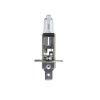 Philips PremiumVision H1 Front Fog Light Globe 12V 55W 3200K Single Blister