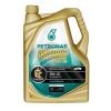 Petronas 5W30 Syntium 3000 FR Synthetic Engine Oil 5L
