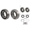 Schaeffler FAG Wheel Bearing Kit 713611530