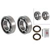 Schaeffler FAG Wheel Bearing Kit 713649200