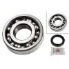 Schaeffler FAG Wheel Bearing Kit 713663060
