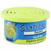 Exotica Air Freshener Squash Scent 42g 76ESC24SQU