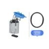 Hella Fuel Pump Assembly 8TF358303141 8TF358303141