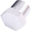 Aeroflow NPT Hex Head Plug 1/4in Silver AF933-04S