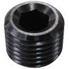 Aeroflow Black Coated Steel Port Plug 1/8in NPT AF979-02BLK