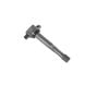 AFI C9541 Ignition Coil