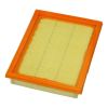 FRAM CA9494 Air Filter