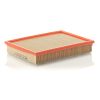 Mann C29122/1 Air Filter
