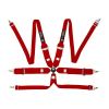 Autotecnica RCU-1003R FIA 6-Point Racing Harness Quick Release Red