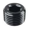 Raceworks NPT Plug 1/8in RWF-932-02BK