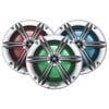 Phoenix Gold PowerSport Series 6.5