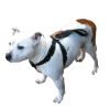 Autotecnica SJ-222 Pet Safety Harness Small 28-50cm Chest