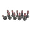 ClutchPro FWBTY09 Flywheel Bolt Set fits Toyo 10X1.25X33 (10) 73Nm