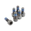 ClutchPro FWBGM22 Flywheel Bolt Set fits GM 9 x 1.0 X 23.5 (6)
