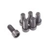 ClutchPro FWBLR03 Flywheel Bolt Set fits Land Rover 10 x 1.0 x 21.2 (6)