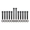 Aeroflow Intake Bolts fits Ford Cleveland AF37-1211