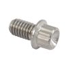 Aeroflow AF3501-0393 M6 x 1.00mm UHL 10mm Titanium Bolt 12 Point Head 