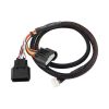 Aeroflow AF49-6517 Electronic Throttle Controller Harness fits Honda 2002 to Current 2020 Model Harness for AF49-6500