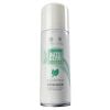 Autoglym Spearmint Fogger Aerosol 150mL AUTSF150