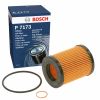 Bosch P7173 Oil Filter