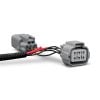 STEDI Piggy Back Adaptor fits Mazda BT50 08/2020-on BT50-A-ADAPTER
