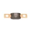Bussmann AMG-250 Fuse Mega AMG 250A 32V DC 1Pk