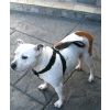 Autotecnica Dog Walking Harness SJ-224
