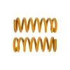 Tough Dog TDC974H Coil Spring Front