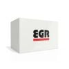 EGR Hard Lid Hinges with Screws Ford Falcon FG Ute EGR-HLHINGES-4