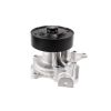 GMB GWMZ-80AM Water Pump