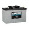 Lifeline Batteries Starting AGM GPL-3100T 12V 810 CCA 100 AH