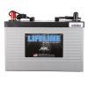 Lifeline Batteries Deep Cycle AGM GPL-31T 12V 600 CCA 105 AH