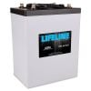 Lifeline Batteries Deep Cycle AGM GPL-6CT 6V 925 CCA 300 AH