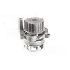 Graf PA980 Water Pump fits Audi Skoda