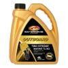 Gulf Western 30482 Outboard Marine Oil TC-W3 Two Stroke 4L