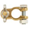 Icon E55-0006P Battery Terminal + Wingnut Pkt 10 8mm Stud Steel Wingnut
