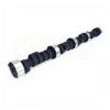 Lunati 10120701LUN Voodoo Hyd Flat Tappet Cam Suits Chev Sb V8